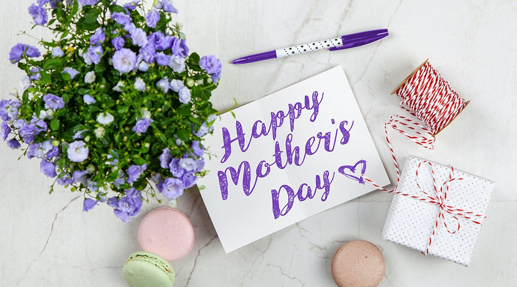 Special Gift Ideas for Mother's Day From Robotime