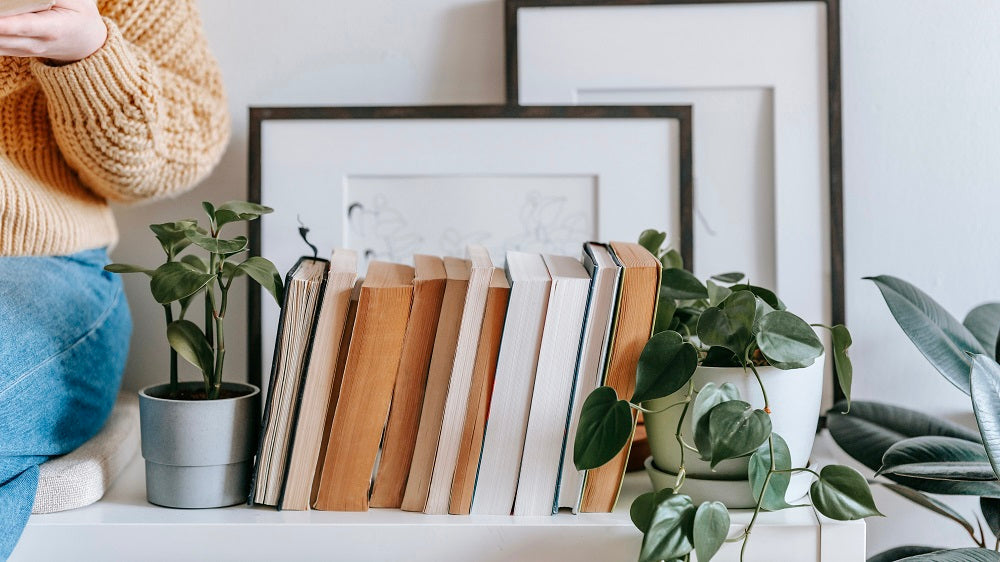 Why You Need A Book Nook for Your Bookshelves