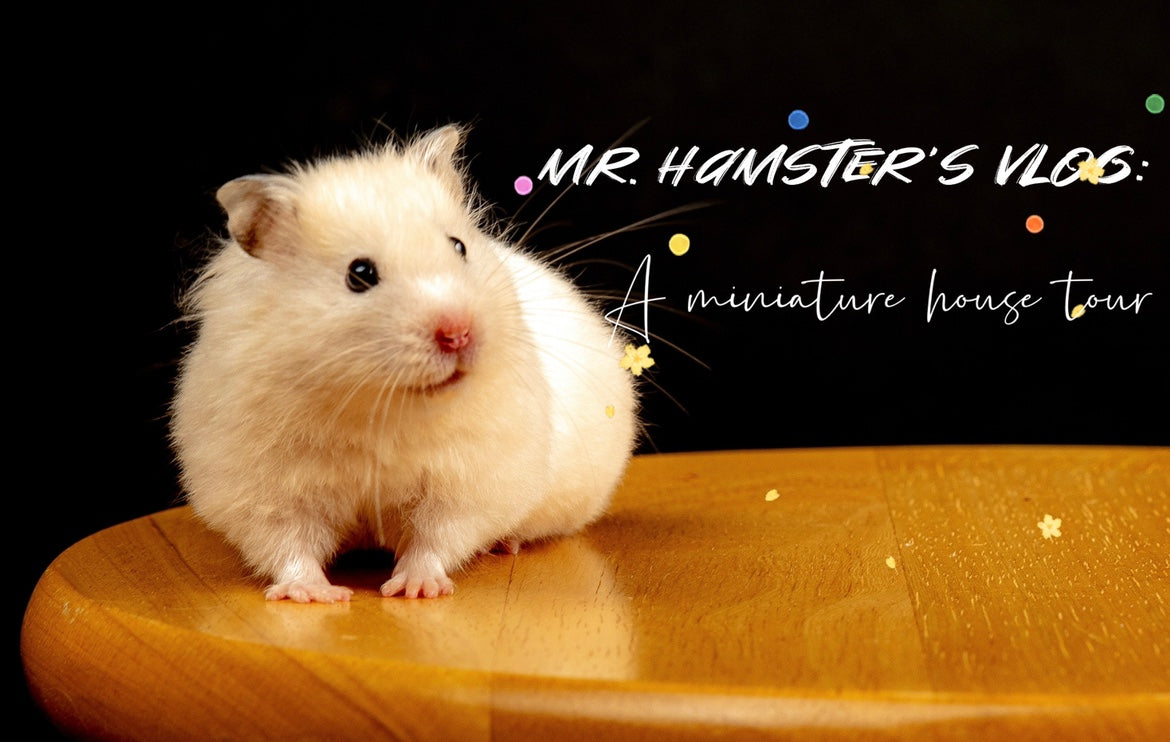 A 4 Day Miniature House Tour with Mr Hamster