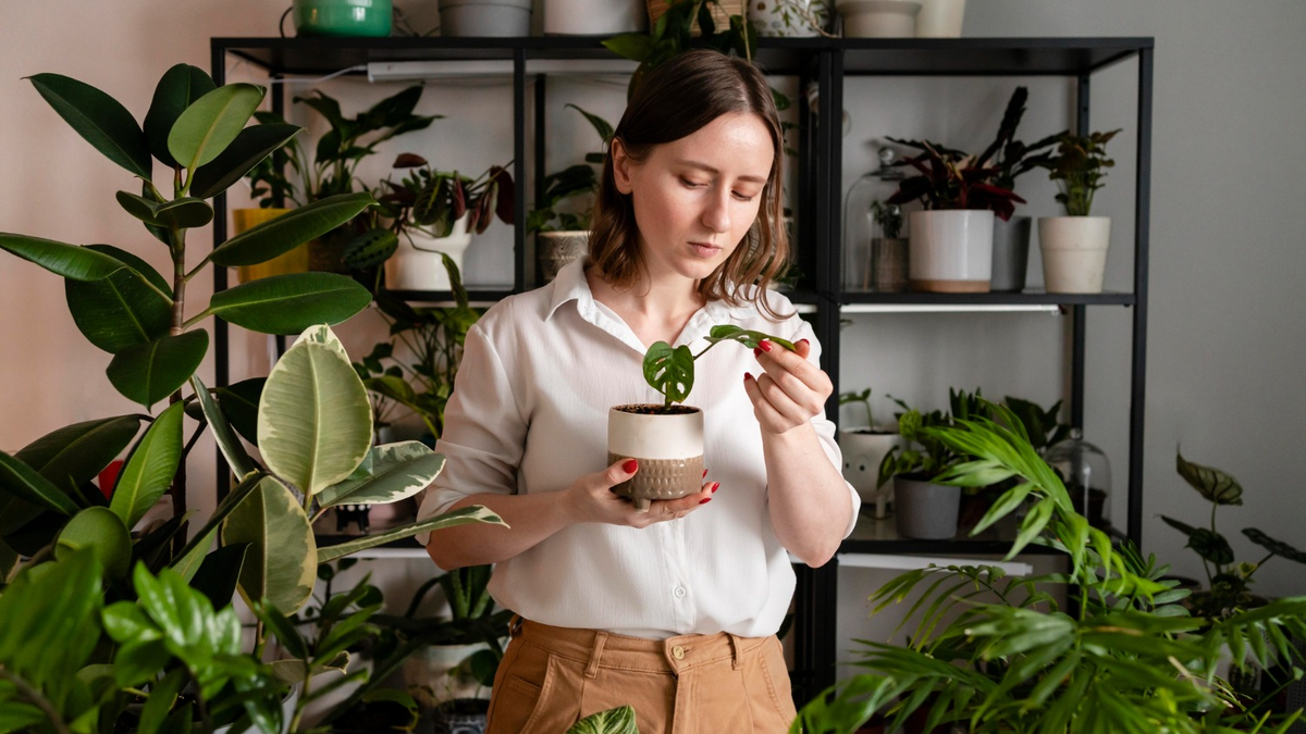 Cool Gifts for Plant Lovers