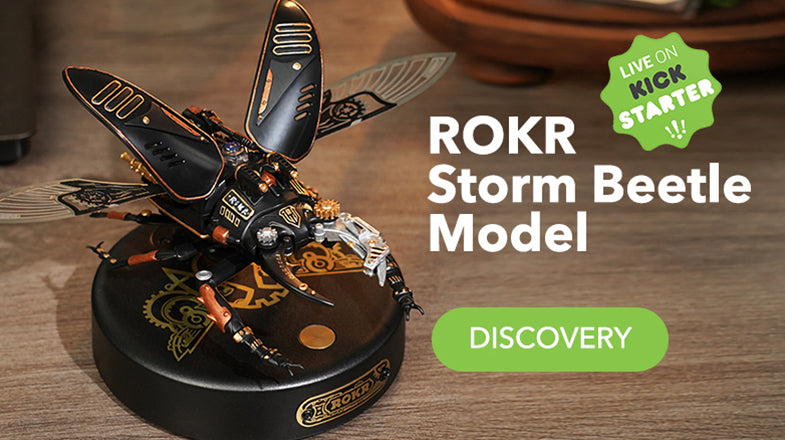 ROKR Storm Beetle Model Live on Kickstarter