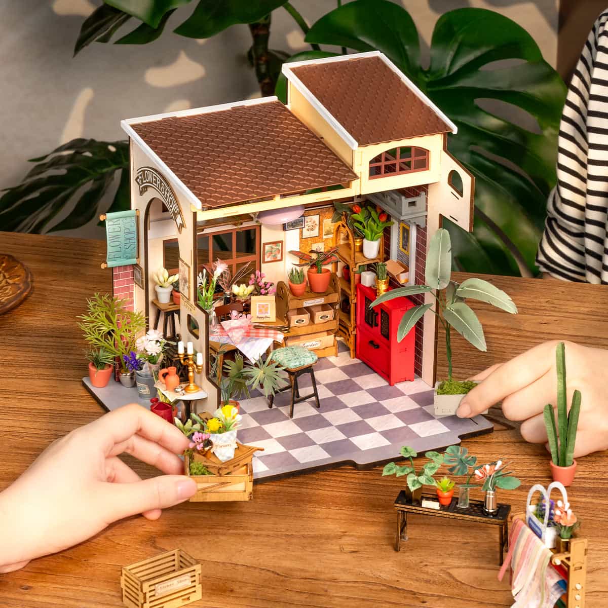 Rolife Emily's Flower Shop Miniature House DG145