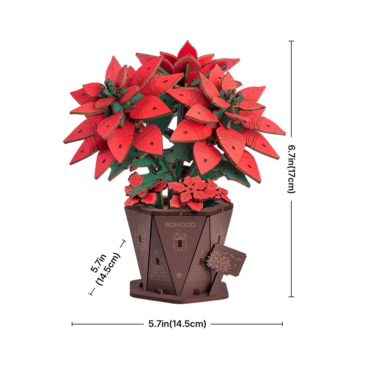 Rowood Poinsettia DIY Bloemenboeket 3D Houten Puzzel TF001