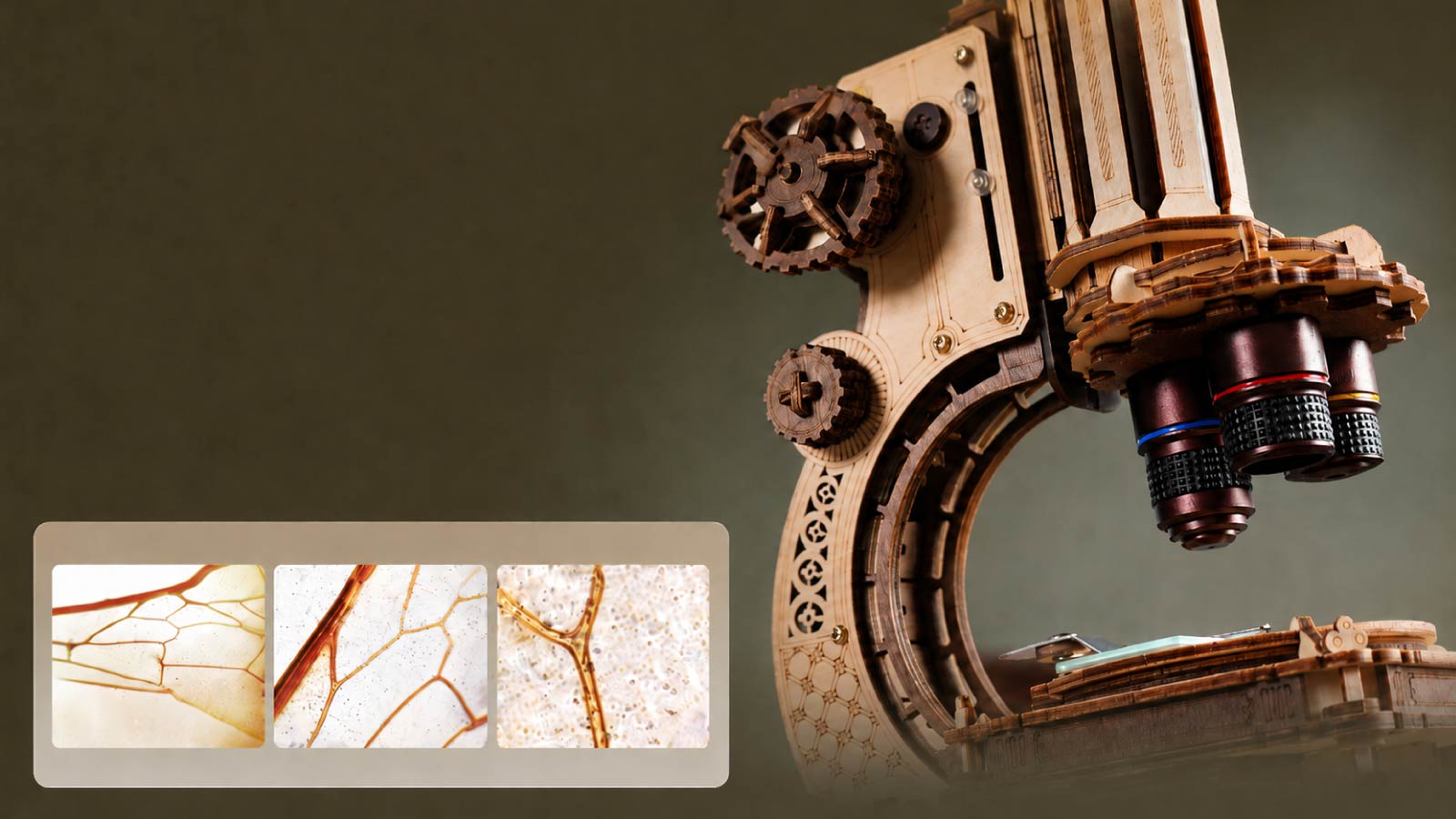 ROKR wooden microscope puzzle on a dark background with three specimen view panels showing plant and cell structures.