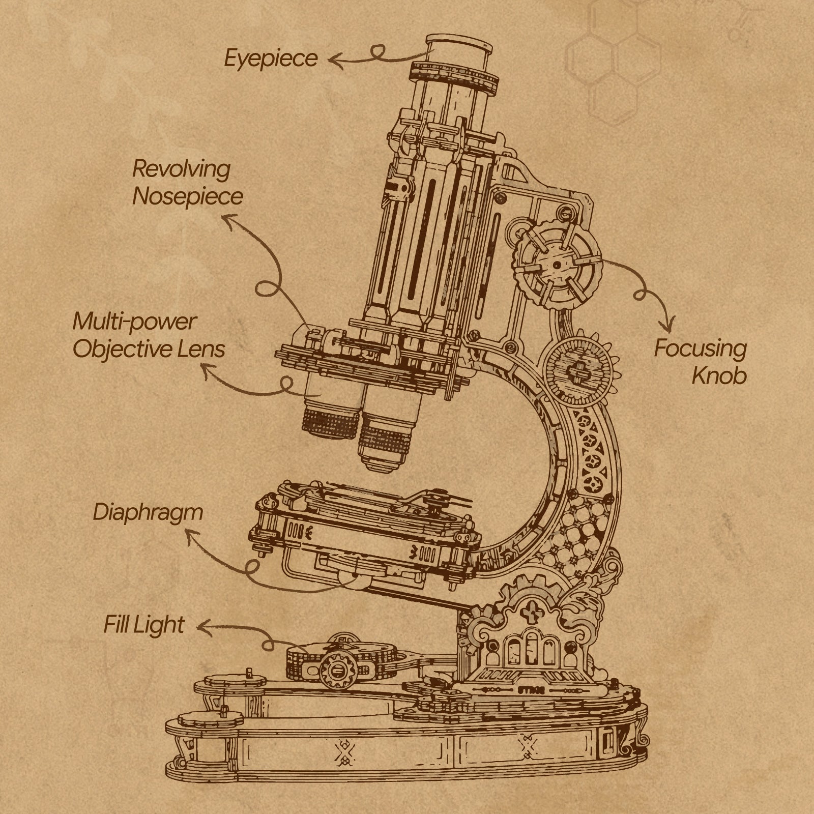 Sepia-toned technical diagram of the ROKR wooden microscope labeling eyepiece, revolving nosepiece, objective lenses, diaphragm and mirror