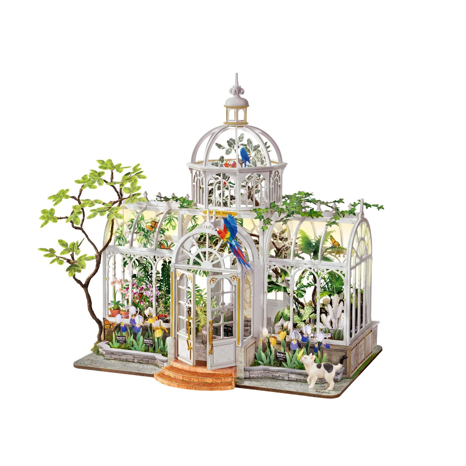 Oxygen Oasis product image 10