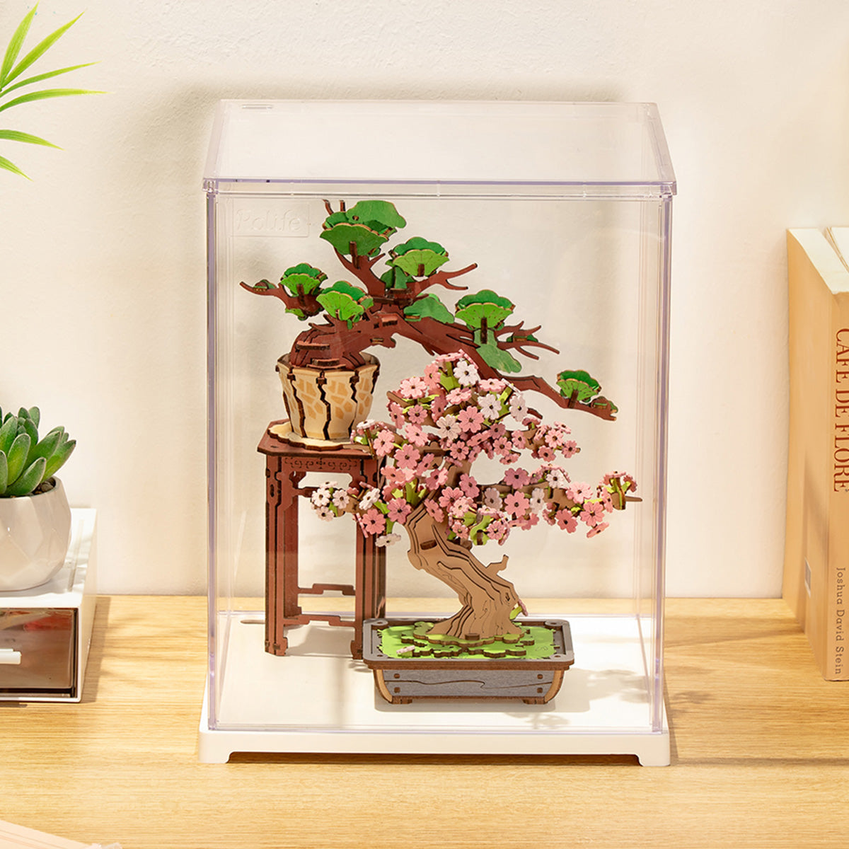 Rolife Clear Display Case Portrait Size M DF05L | Robotime