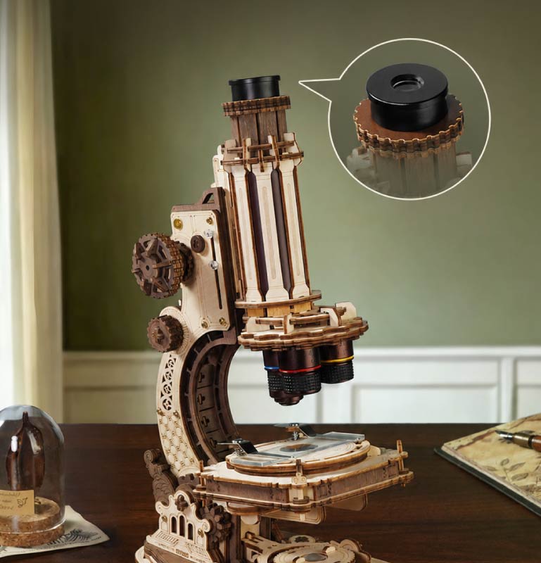 Multi-Magnification Optics